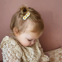 Alligatorspeldjes Margrietjes Creme